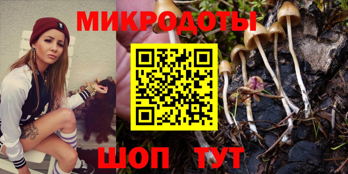 Галлюциногенные грибы MAGIC MUSHROOMS Алатырь