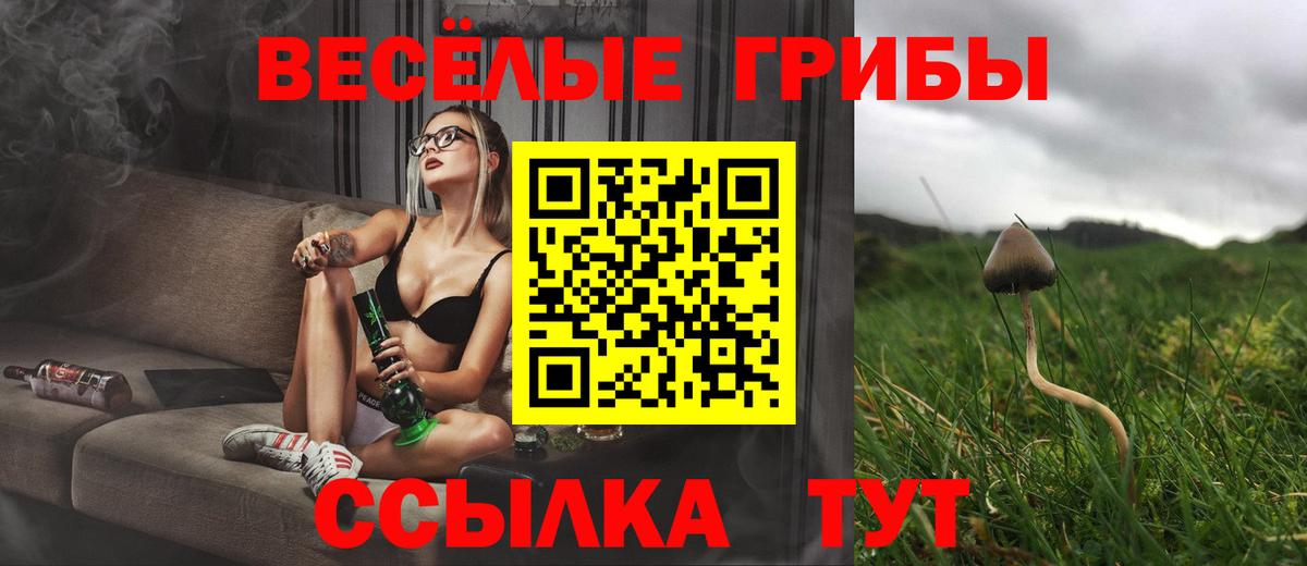 Конопля  MDMA  Альфа ПВП СК   Алатырь  Лсд 25  Меф МЯУ МЯУ кристаллы  ГАШИШ  Гашиш  Вход с VPN 